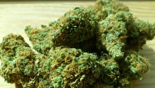 noticia-cgi-gotas-nanotecnologicas-israelies-basadas-en-el-cannabis-empiezan-su-venta-su-venta-en-estados-unidos-02