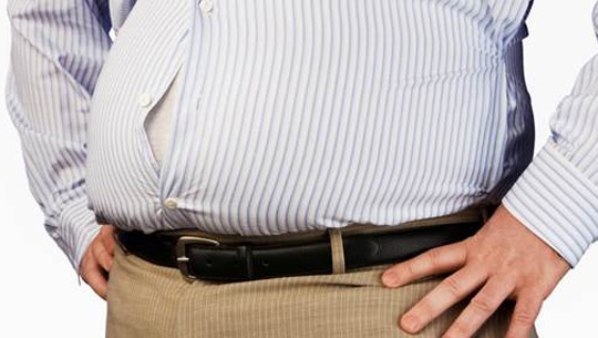 noticias-cgi-fuente-de-la-obesidad-yo-yo-revelada-por-investigadores-del-instituto-weizmann