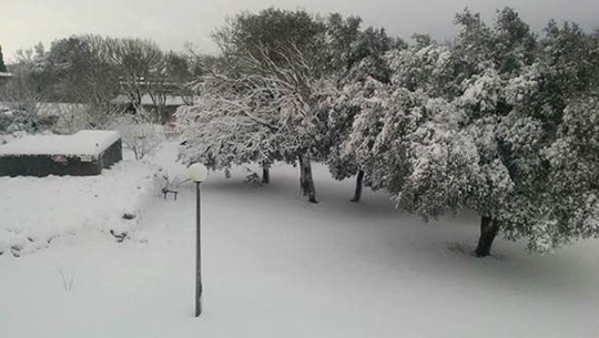 La-nieve-cubre-el-norte-de-Israel