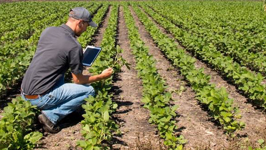 noticia-consuladode-de-israel-firma-hace-accesible-la-agronomia-de-precision-a-agricultores