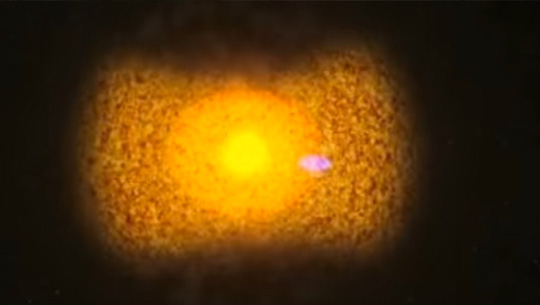 noticias-Consulado-de-Israel-astronomos-israelies-capturan-las-primeras-horas-de-una-supernova-01