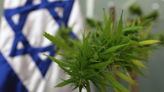 noticias-Consulado-de-Israel-cinco-razones-por-las-que-israel-domina-la-industria-del-cannabis
