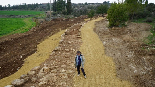 noticias-Consulado-de-Israel-arqueologos-hallaron-un-camino-de-hace-2-000-anos-cerca-del-sendero-nacional-de-israel